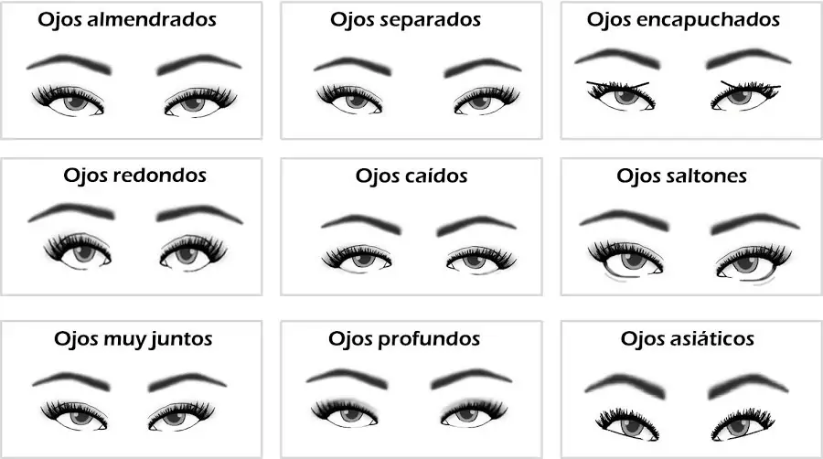tipos de ojos